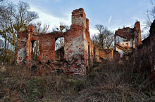 Ruiny zamku książęcego